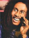  bob marley une legende